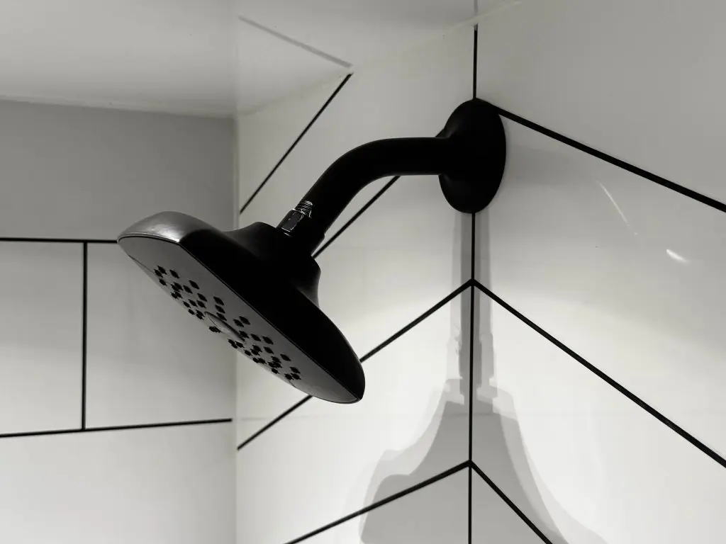 White - Black Etch - Matt Black Shower Head