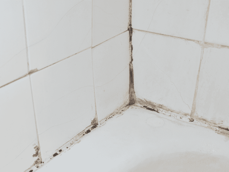 broken bathroom tile and grout